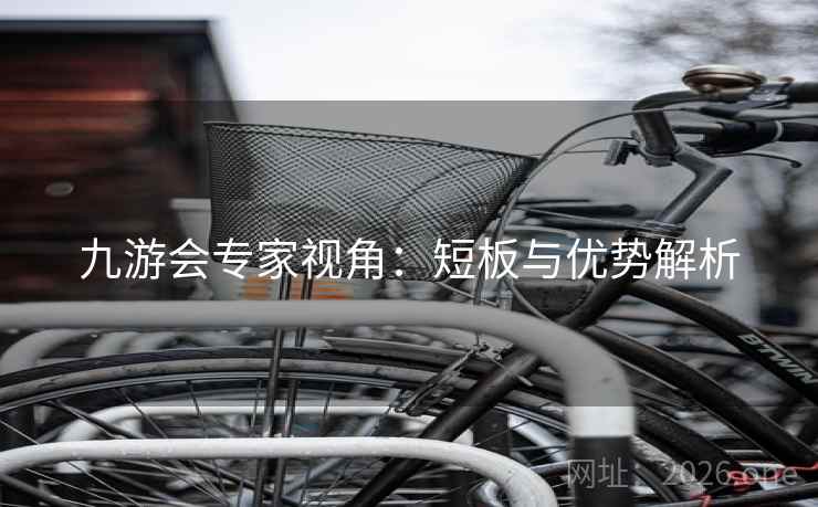 九游会专家视角:短板与优势解析 九游会专家视角:短板与优势解析