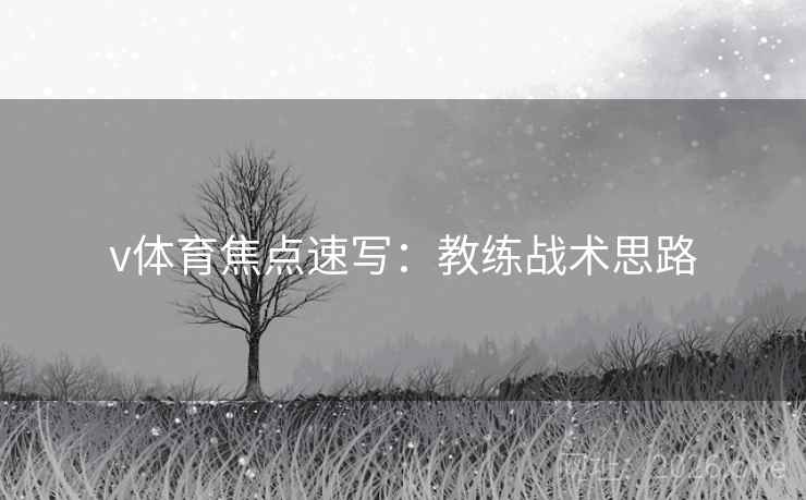 v体育焦点速写:教练战术思路 v体育焦点速写:教练战术思路