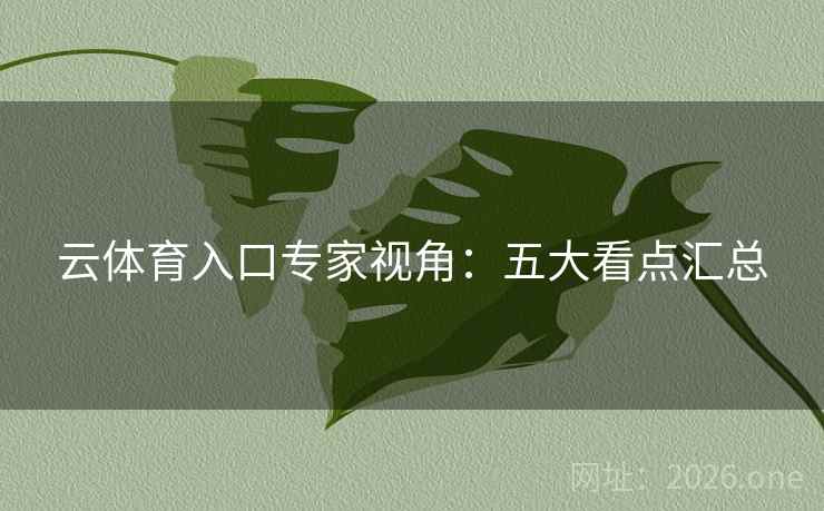 云体育入口专家视角:五大看点汇总 云体育入口专家视角:五大看点汇总