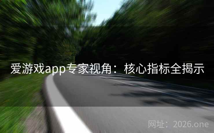 爱游戏app专家视角:核心指标全揭示 爱游戏app专家视角:核心指标全揭示