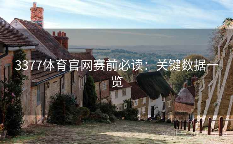 3377体育官网赛前必读：关键数据一览